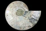 Agatized Ammonite Fossil (Half) - Madagascar #88250-1